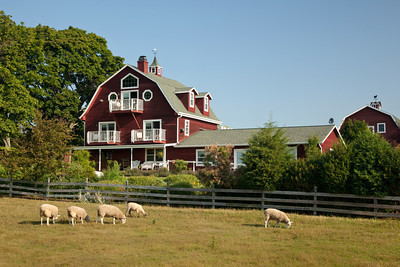 Bed and breakfasts, inns at Door county